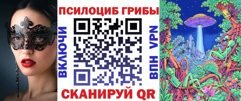 mega ссылка  Новокубанск  Псилоцибиновые грибы мицелий  дарнет шоп 